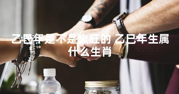 乙巳年是不是火旺的 乙巳年生属什么生肖